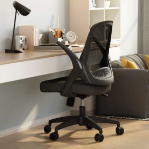 Hbada Office Task Desk Chair Swivel