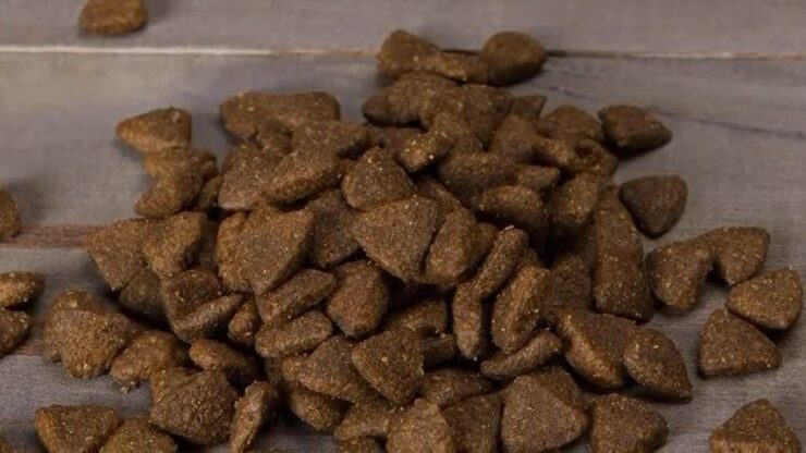 Dry Dog Food