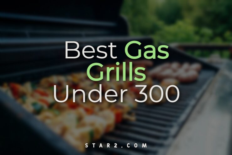 Best Gas Grills Under 300