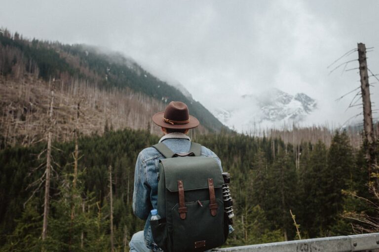 A man carrying a backpack, wearing a fedora staring towards the mountainous landscape