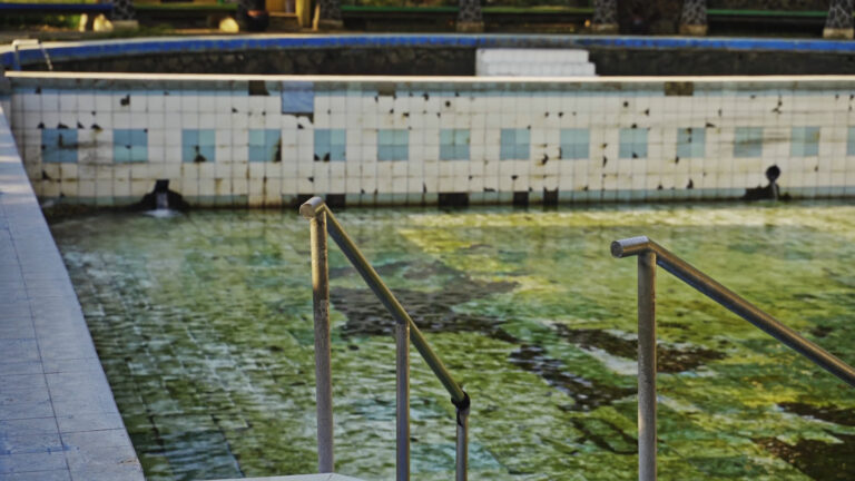 Why Is My Pool Water Green and How to Fix It