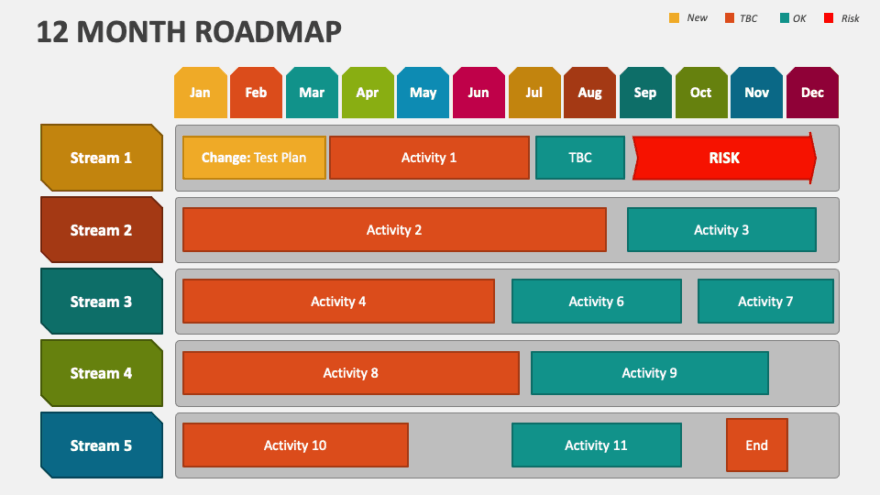 12 month roadmap