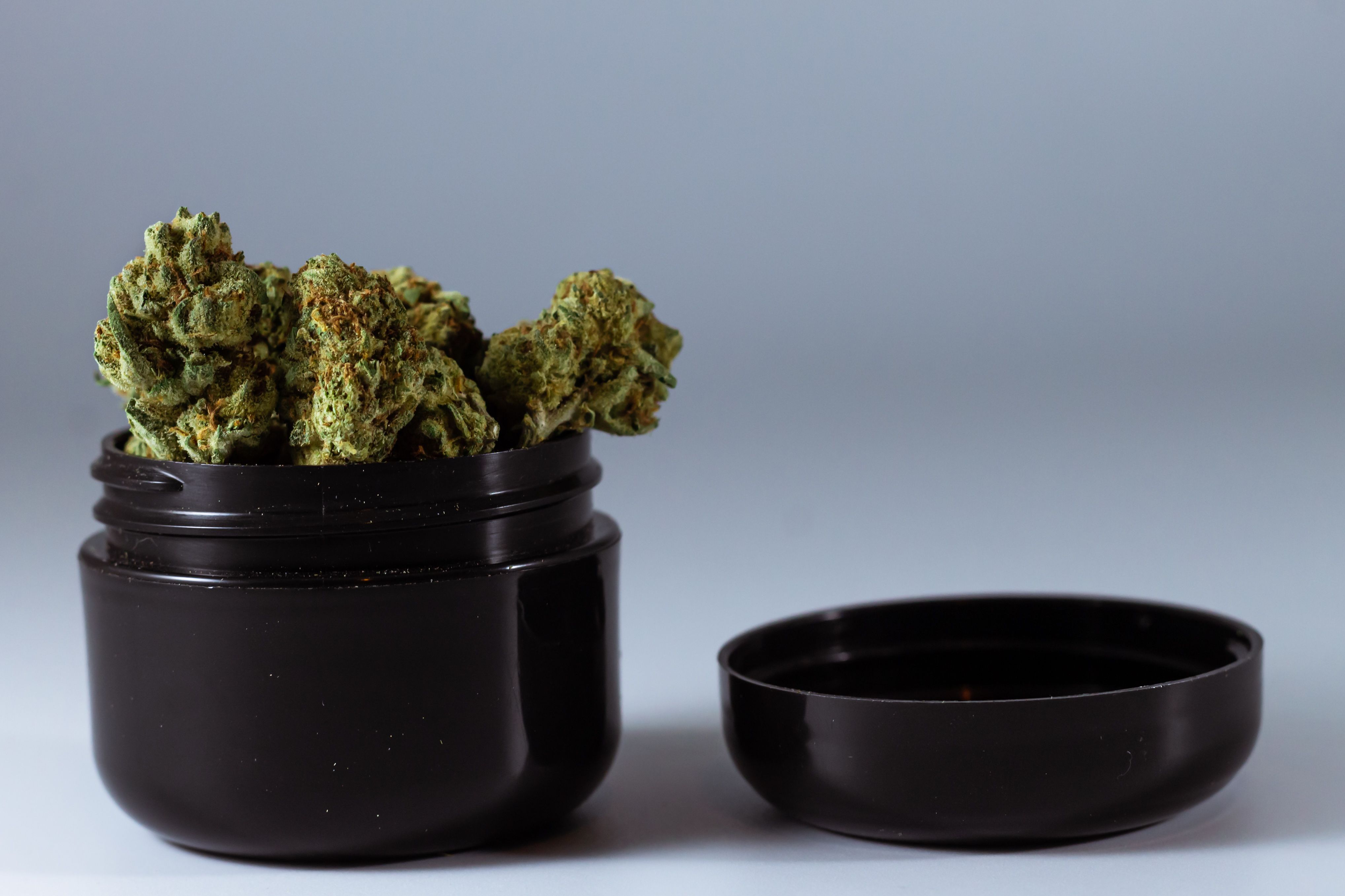 Cannabis buds stored in a black container with the lid removed, showing child-resistant packaging