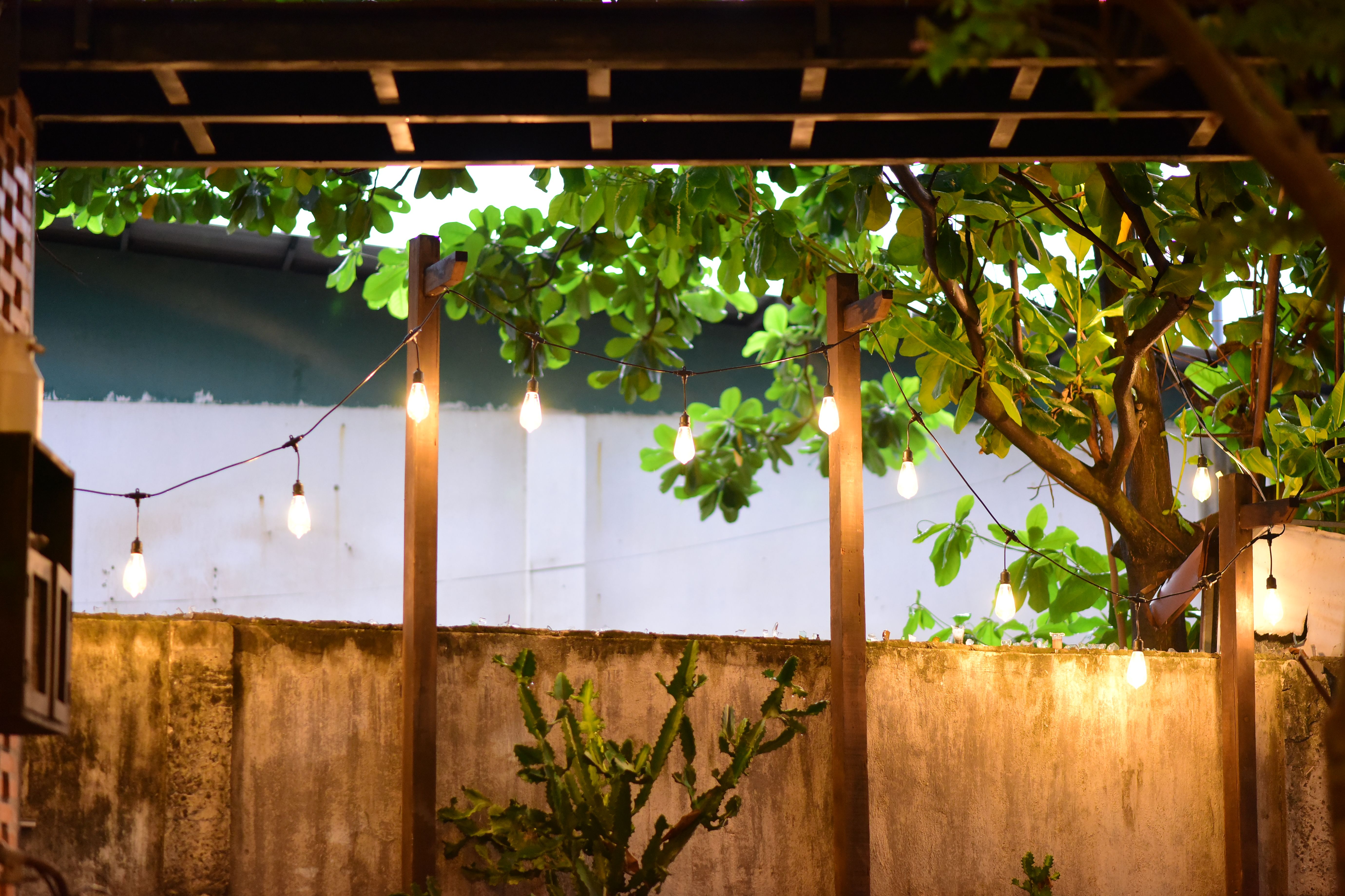 Warm string lights illuminating a leafy backyard, creating a cozy evening atmosphere for a modern outdoor space.